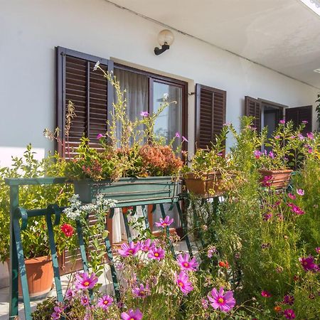Apartment Vinka Trogir Kültér fotó